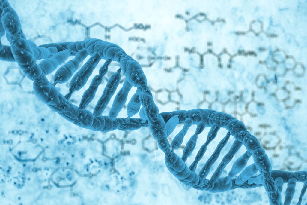 Double Helix Structure