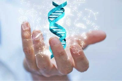 Types of Relationships Verified by DNA Tests